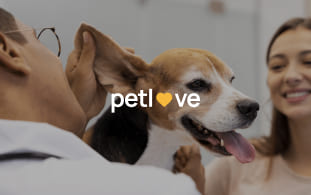 pet-love